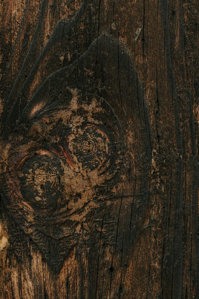 Hardwood grain image representing Spain Collection