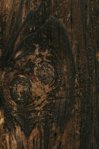Hardwood grain image representing Spain Collection
